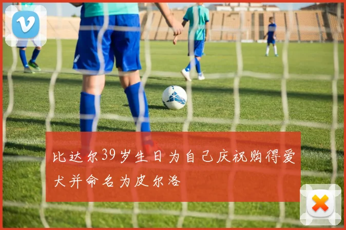比达尔39岁生日为自己庆祝购得爱犬并命名为皮尔洛