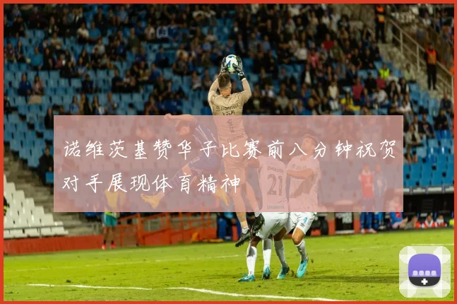 诺维茨基赞华子比赛前八分钟祝贺对手展现体育精神